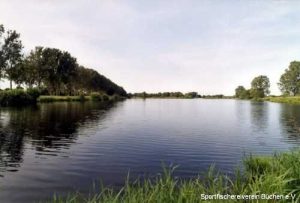 Dalldorfer See, Schaeferbuschsee Südufer