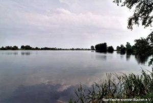 Dalldorfer See, Schaeferbuschsee Westufer