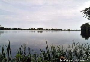 Dalldorfer See, Schaeferbuschsee Westufer