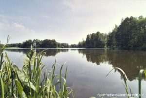 Kiessee VIII Nordufer