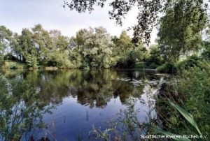 Kiessee VIII Ostufer