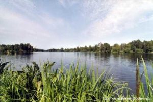 Kiessee VIII Südufer