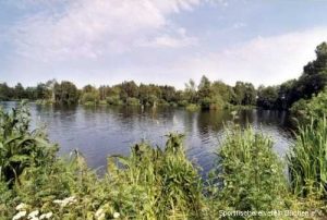 Kiessee VIII Südufer