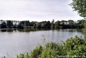 Rauchhorstsee Ostufer