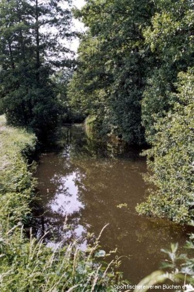 Steinau / Büchen