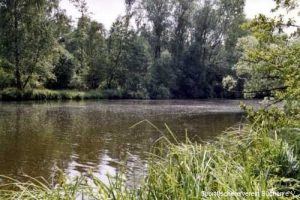 Stichkanal / Büchen