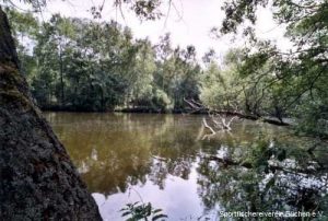 Stichkanal / Büchen